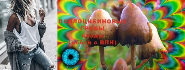 тгк Баксан