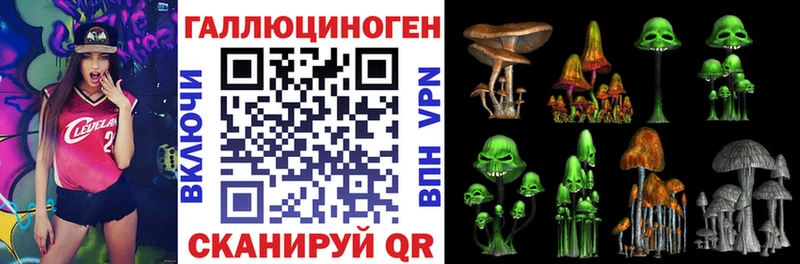 Псилоцибиновые грибы прущие грибы  hydra ТОР  Южно-Сухокумск 